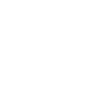 Gold Entity Team Sticker - TI 2022